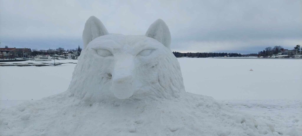 A wolf's face carved in snow. 